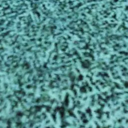 Profile image of カナタ