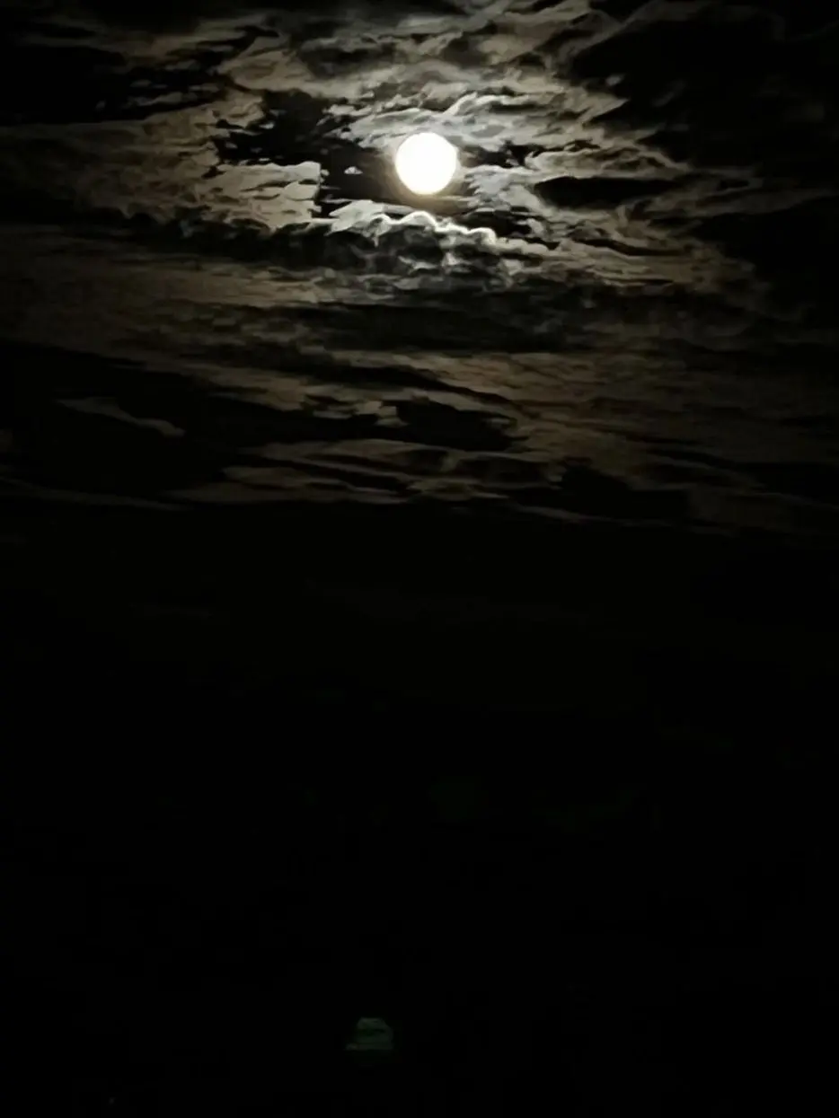 ars_fan.nino_0617의 月が綺麗な夜に、君を護りたい