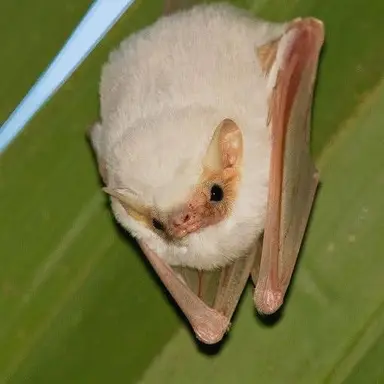 Profile image of 알루