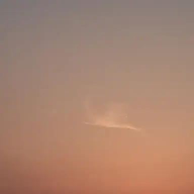 Profile image of 나경