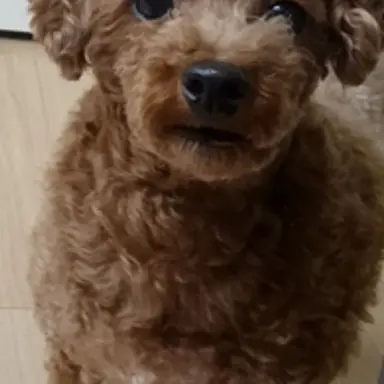 Profile image of 공알밤