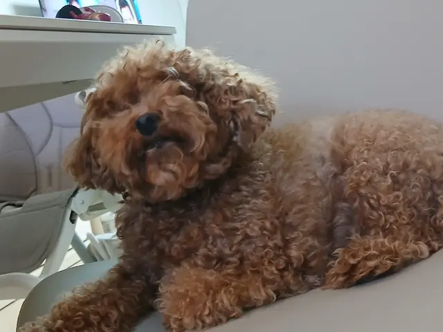 Profile image of 알밤