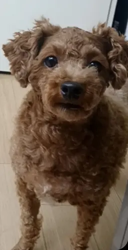 Profile image of 알밤
