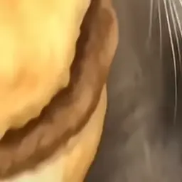 Profile image of チーズバーガー