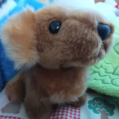 Profile image of イッヌ