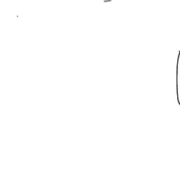 Profile image of リズ