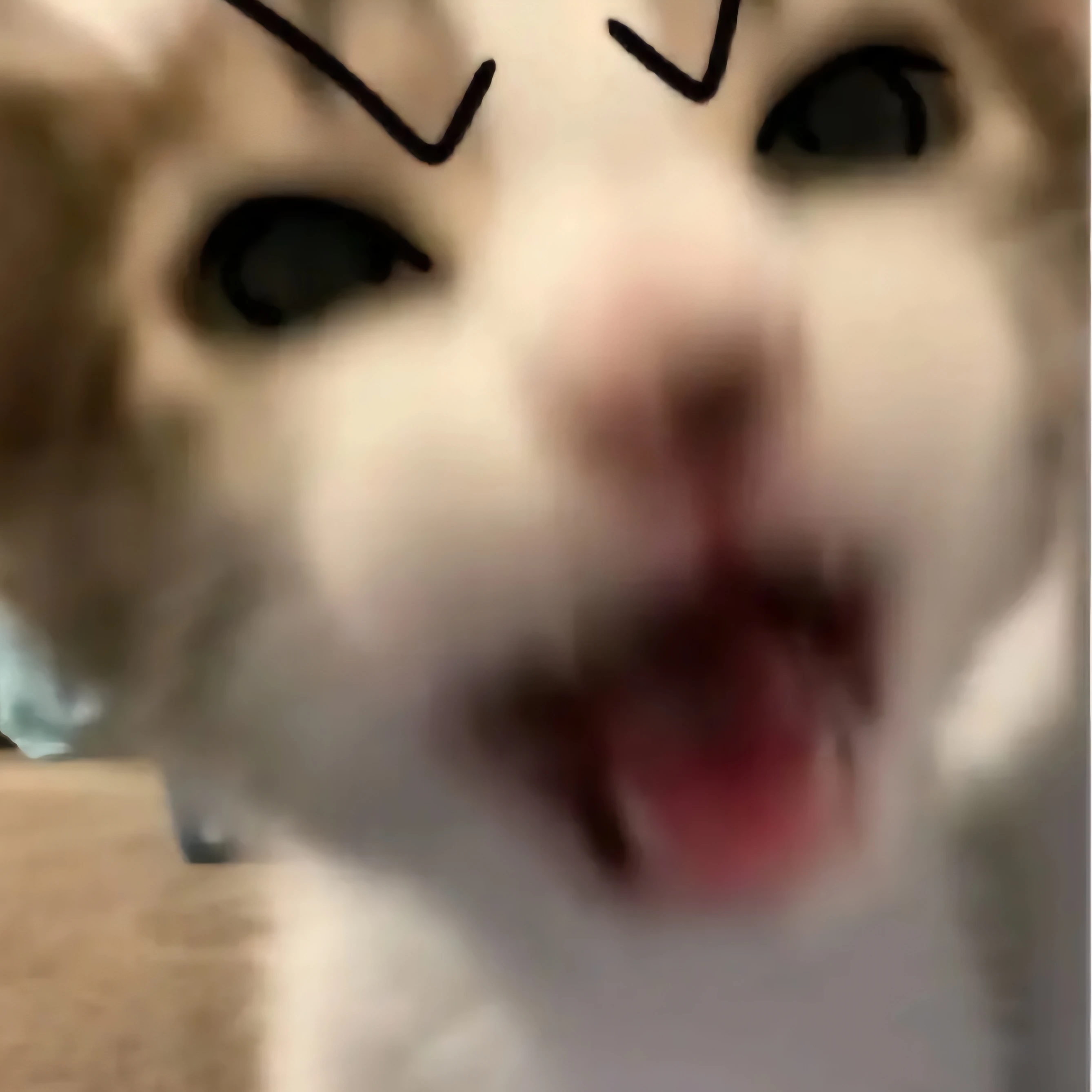 사샤 브라우스