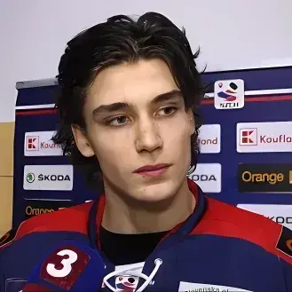 Profile image of Jakub Novak