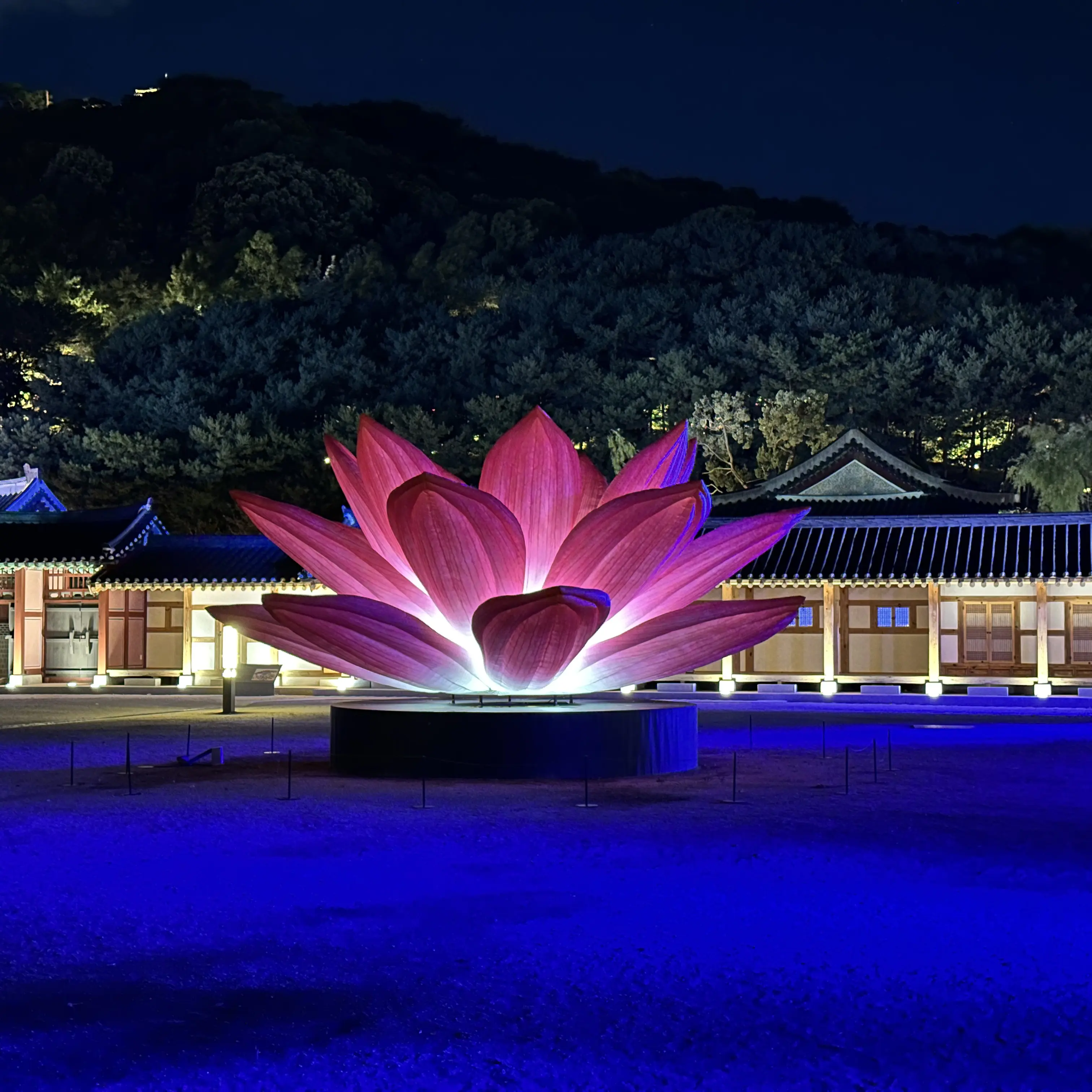 dyna1224의 하인성