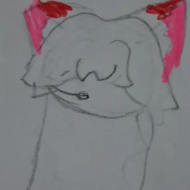 Profile image of 인디고