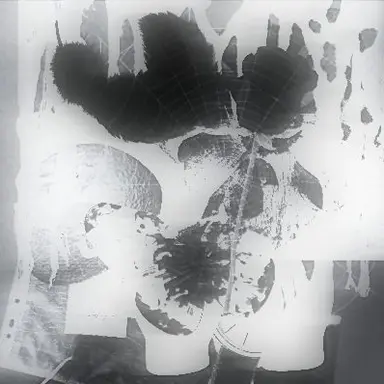 Profile image of 김건부