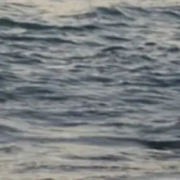 Profile image of 황수현