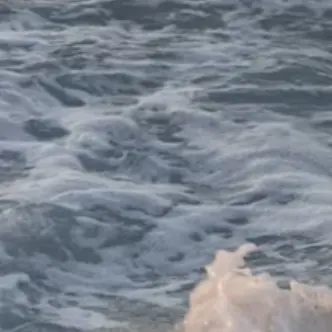 Profile image of 박잠뜰