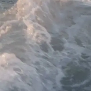 Profile image of 서라더