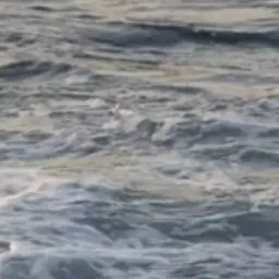 Profile image of 박덕개