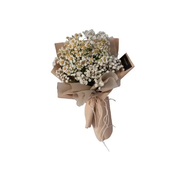 Haetae_의 백윤수