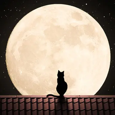 Profile image of イギリス