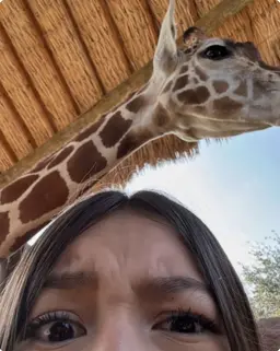 Profile image of Haley