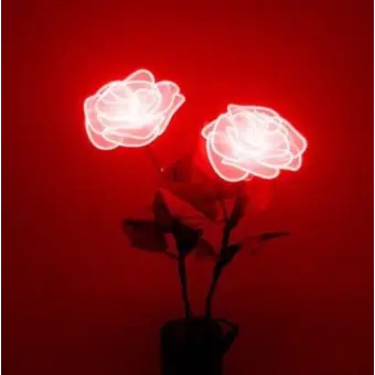 SassyBeat9182의 서라더