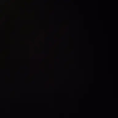 Profile image of 진우선배