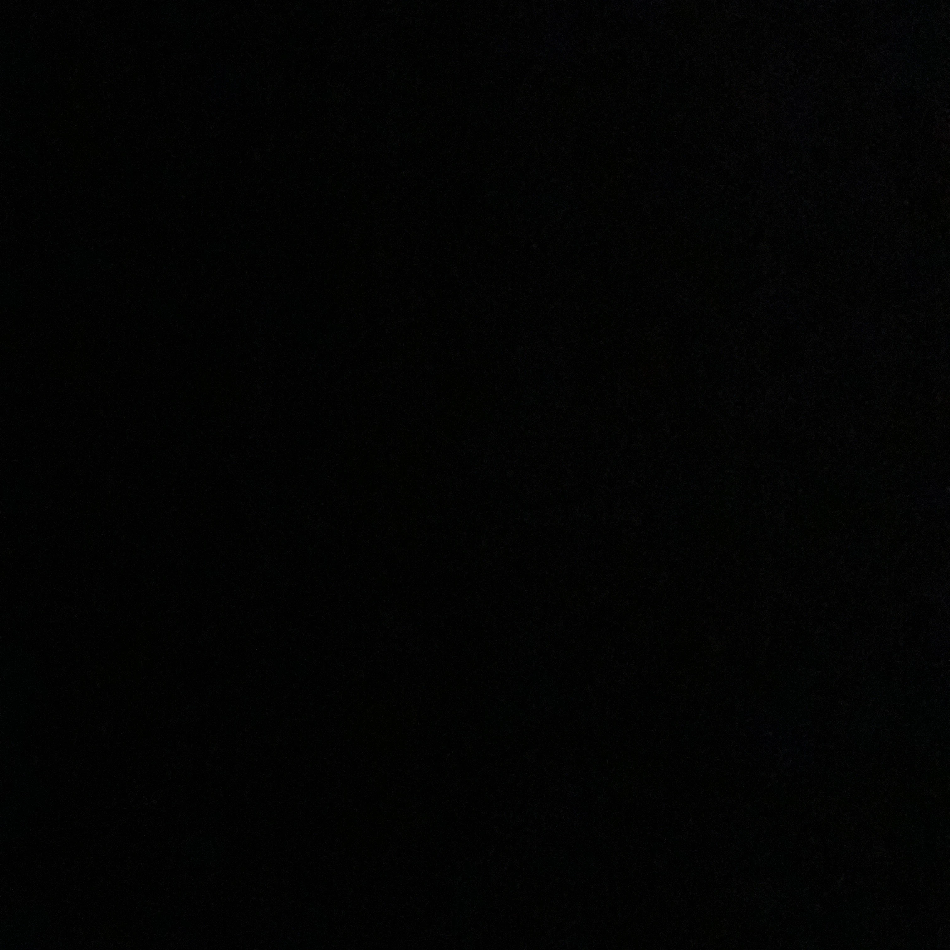 윤정핝