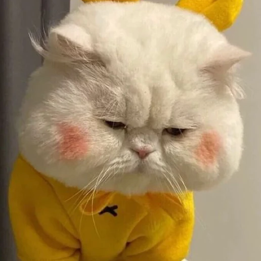 여우연