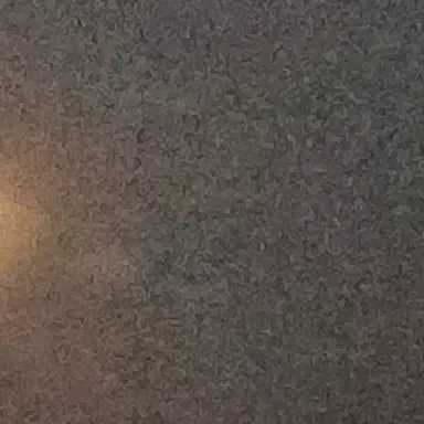 Profile image of 공룡