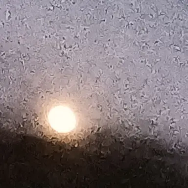 Profile image of 각별