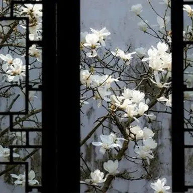 Profile image of 하난