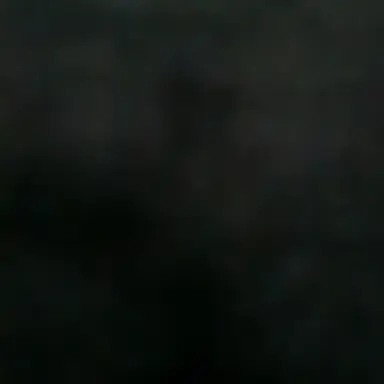 Profile image of 이블리스