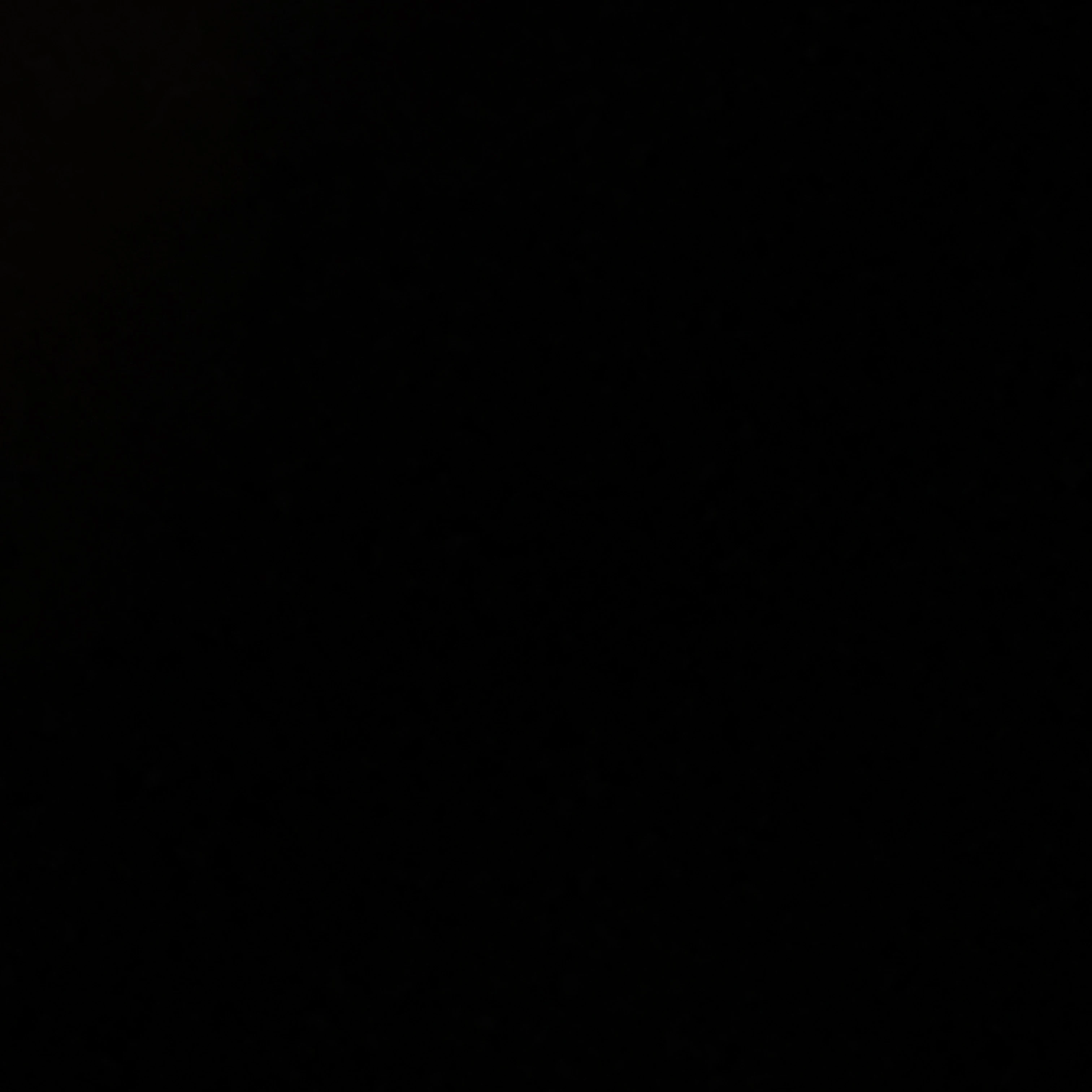 정도현