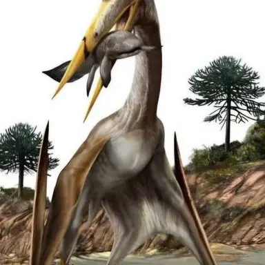 Profile image of 알란카