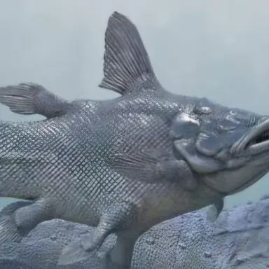 Profile image of 마우소니아