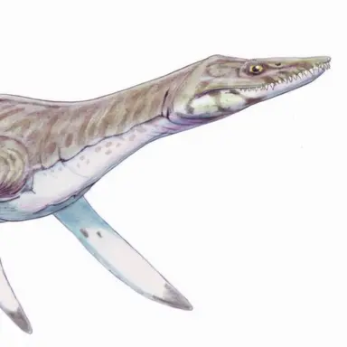 Profile image of 켐 켐 장경룡