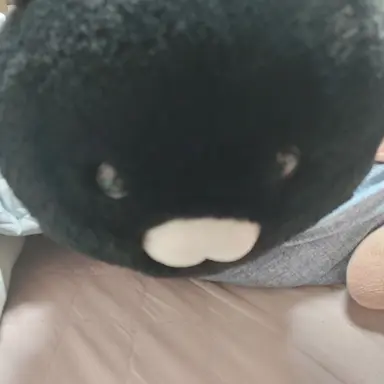 Profile image of 젤리 늑대