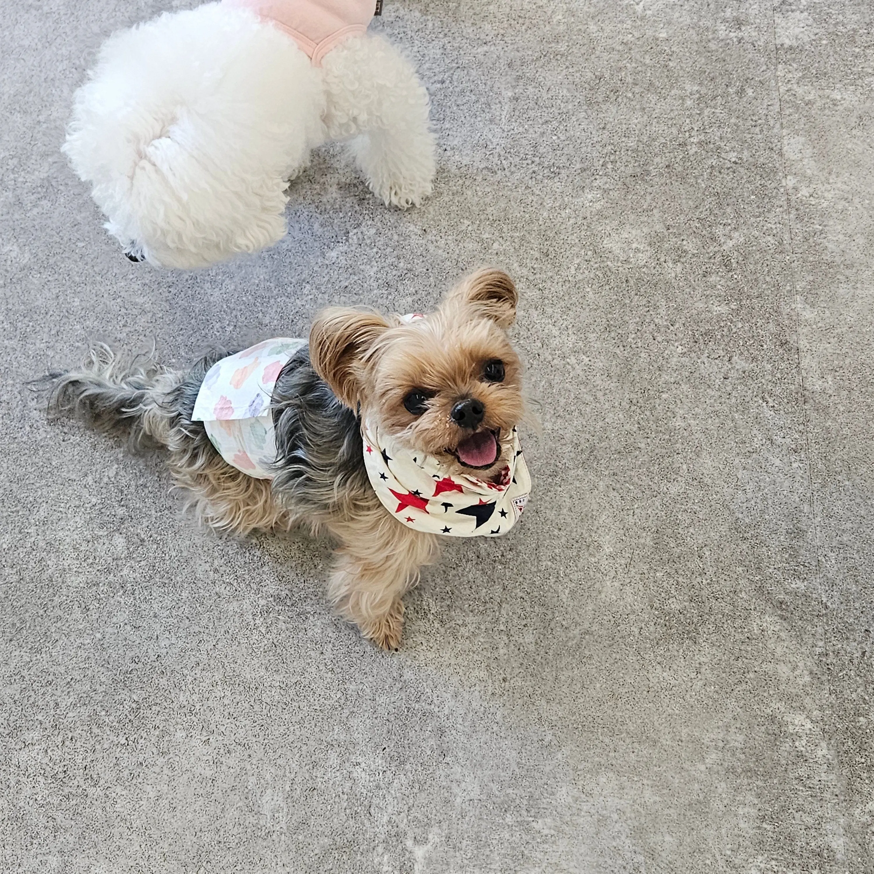 ZB1_0420의 한유진