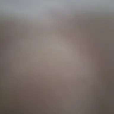 Profile image of 단포