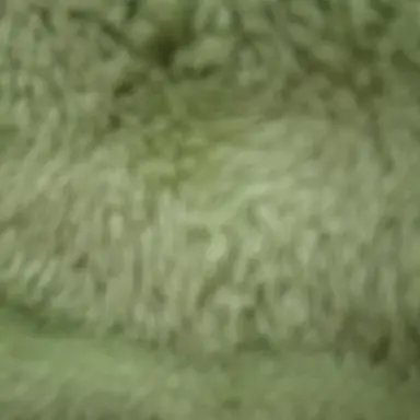 Profile image of 켸로