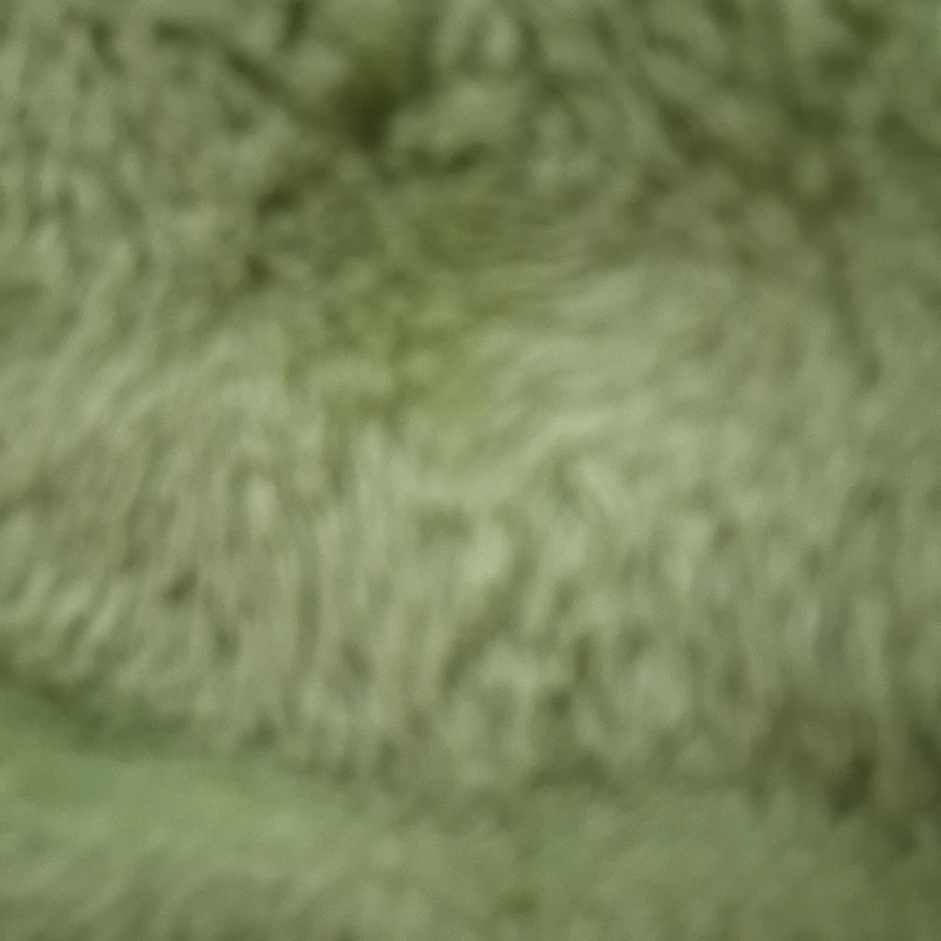 FeebleStoat4726의 쫄쫄리 TV