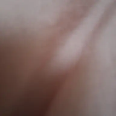 Profile image of 쿠냐