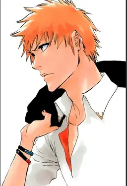 Profile image of 一護