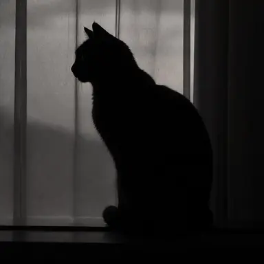 Profile image of ゆうし