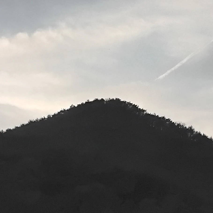 나자연