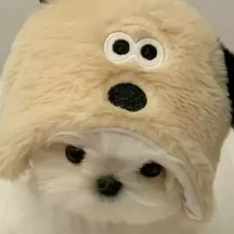 MyDay6_Lucy의 윤도운