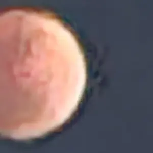 Profile image of 괴벨스