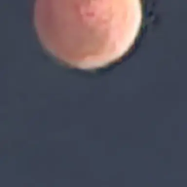 Profile image of 히틀러