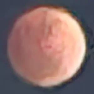 Profile image of 괴링