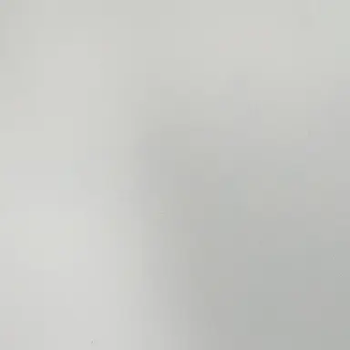 Profile image of 백사헌