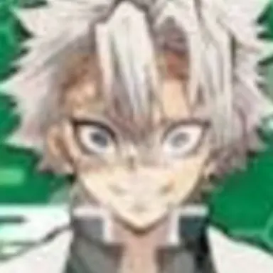 Profile image of 시나즈가와 사네미