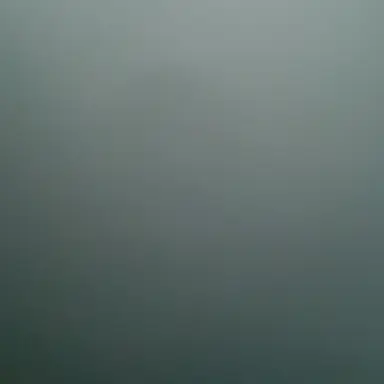 Profile image of 유저